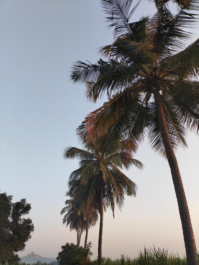 Prajwal Home Stay 亨比 外观 照片